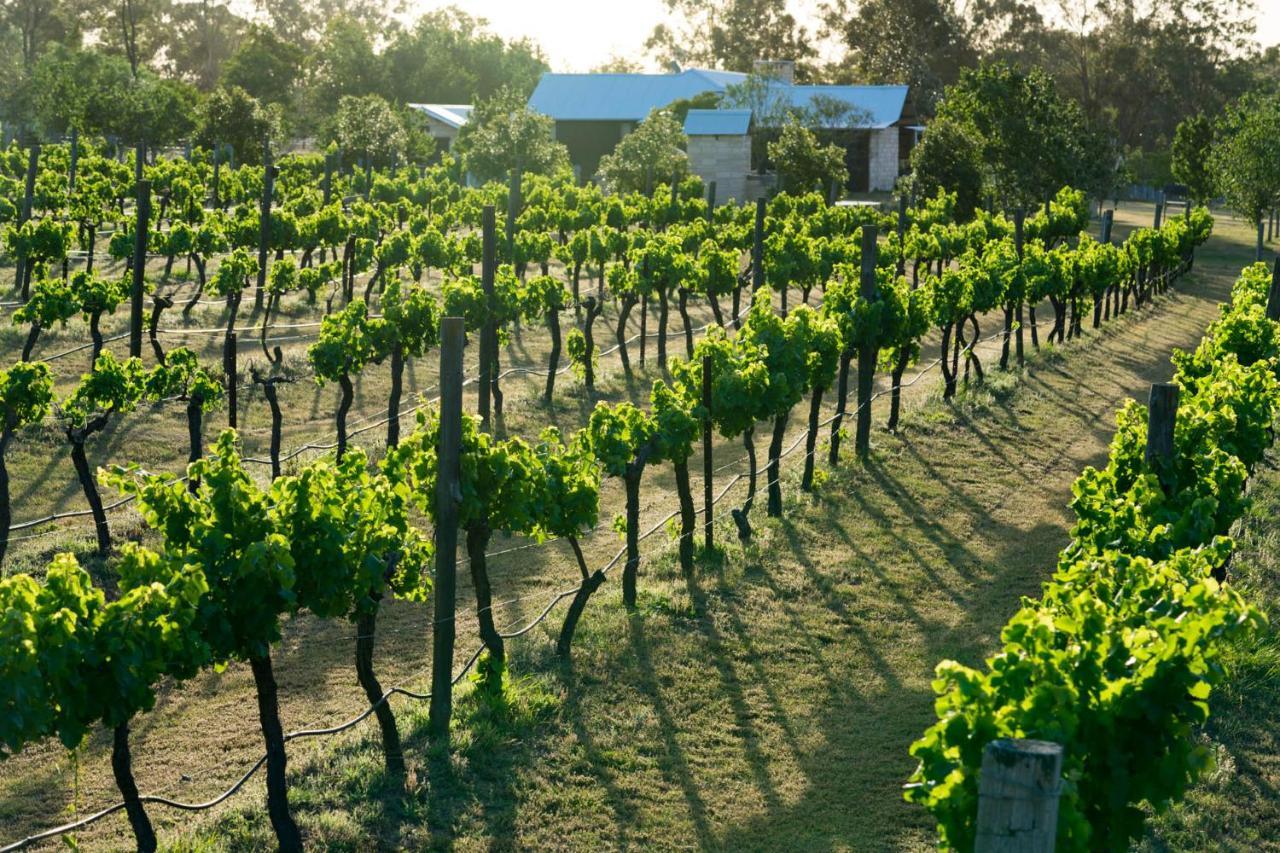 Thistle Hill Guesthouse - Walk To Many Wineries And Restaurants โพโคลบิน ภายนอก รูปภาพ