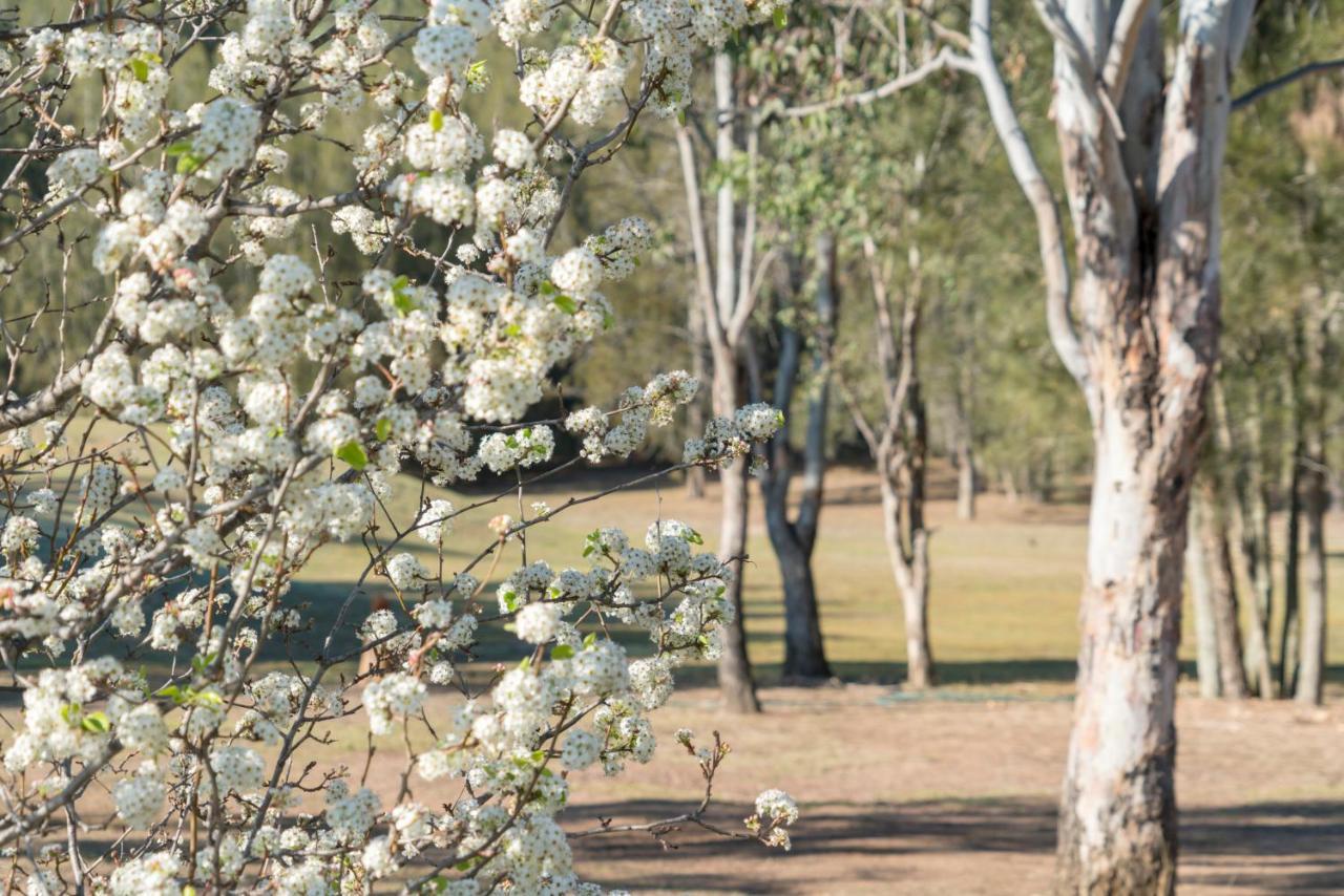 Thistle Hill Guesthouse - Walk To Many Wineries And Restaurants โพโคลบิน ภายนอก รูปภาพ