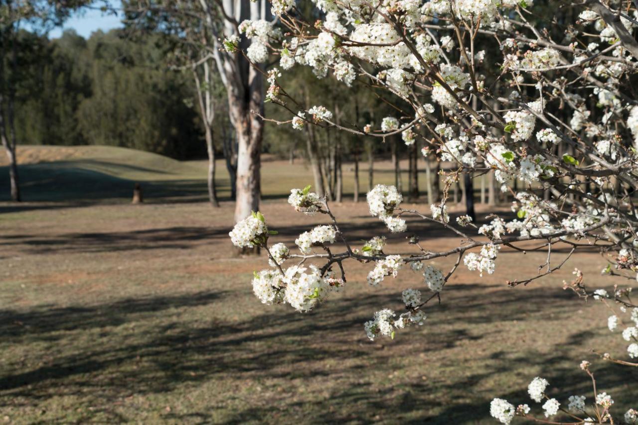 Thistle Hill Guesthouse - Walk To Many Wineries And Restaurants โพโคลบิน ภายนอก รูปภาพ