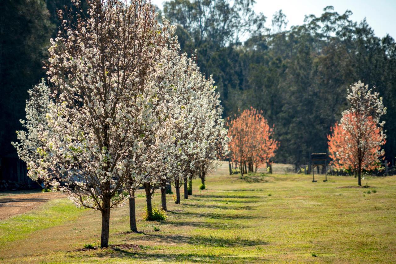 Thistle Hill Guesthouse - Walk To Many Wineries And Restaurants โพโคลบิน ภายนอก รูปภาพ