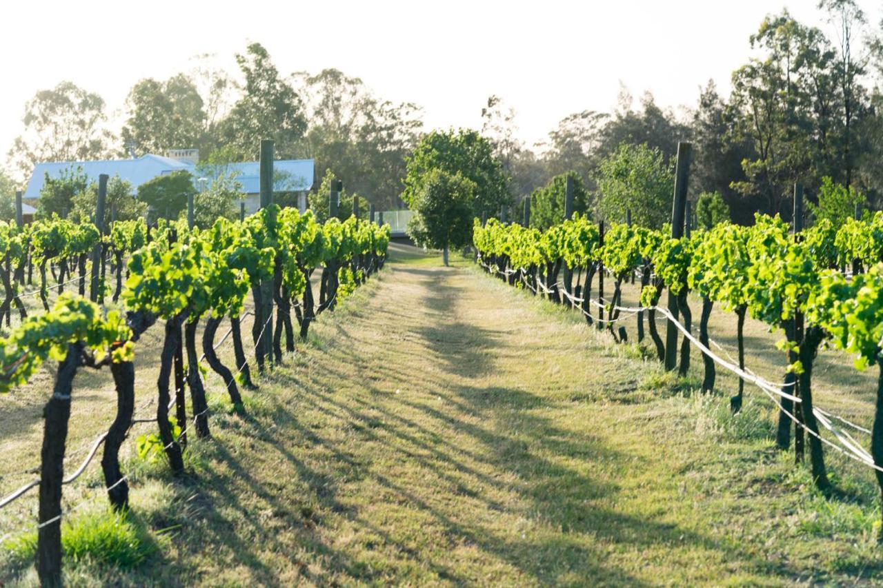 Thistle Hill Guesthouse - Walk To Many Wineries And Restaurants โพโคลบิน ภายนอก รูปภาพ